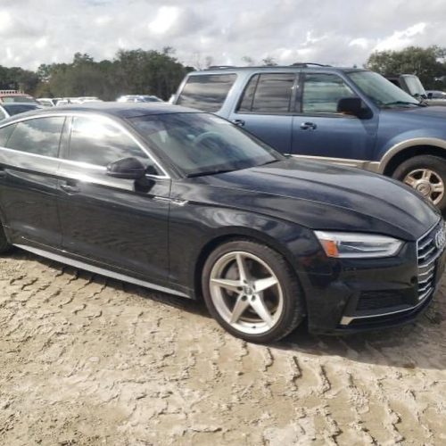 423133251_17896871108976151_2073218743391920908_n