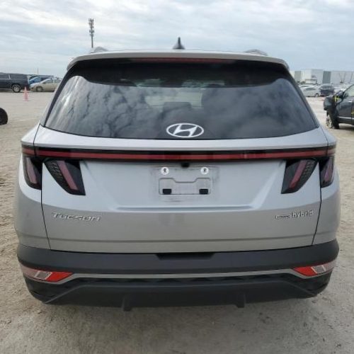 430201657_17896143578976151_505105100051920463_n