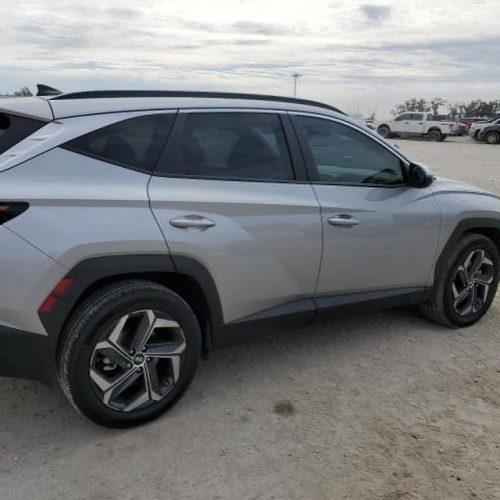 431903822_17896143551976151_9171608823038608555_n