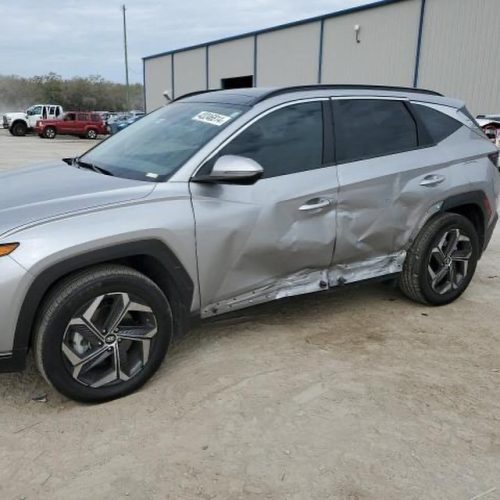 432004719_17896143605976151_6406186112315345360_n