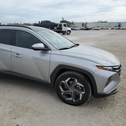 432017052_17896143560976151_778301406103257193_n