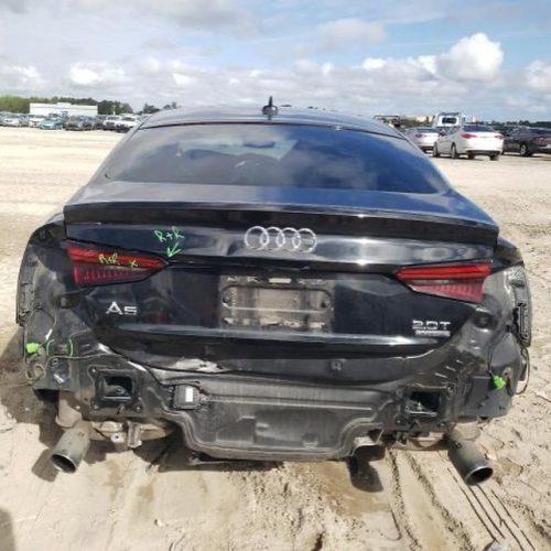 432061806_17896871135976151_8054140466599070215_n