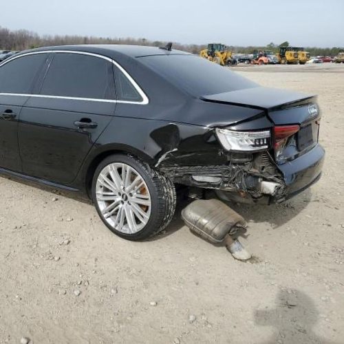 432680860_17896870451976151_15471591116252547_n