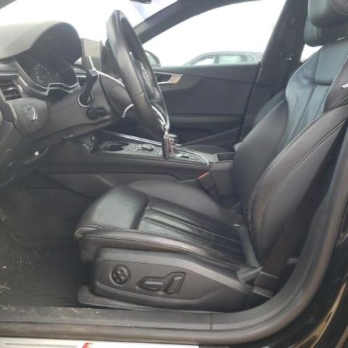 432702805_17896871117976151_235259253408721549_n