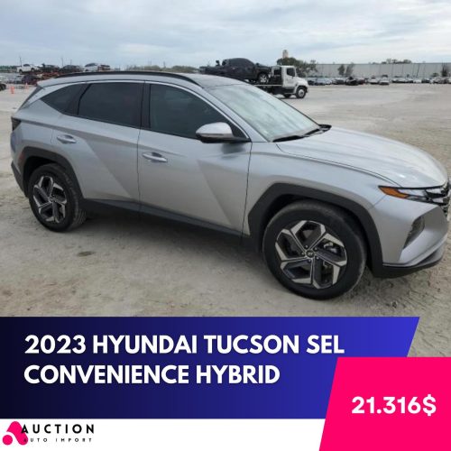 432709252_17896143524976151_1971700522279899885_n