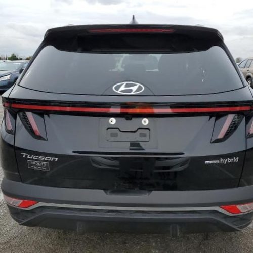 432788130_17896867004976151_6556242786149911013_n