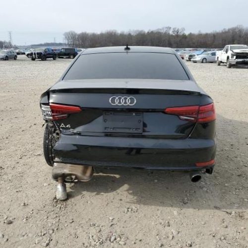 434148908_17896870421976151_9063110123651923501_n