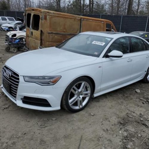 434157186_17896871345976151_3514869017070923111_n